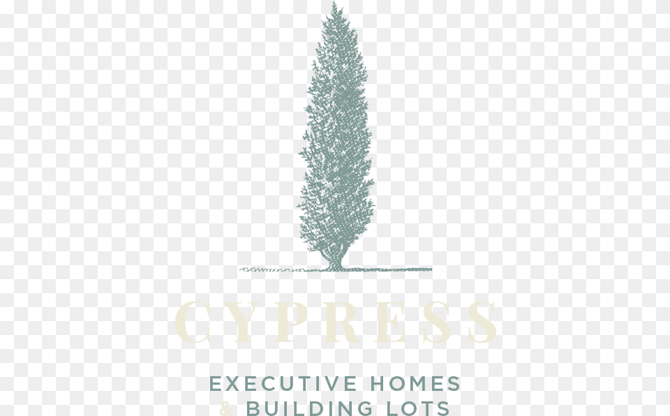 Logo Cypress White Christmas Tree, Plant, Pine, Festival, Christmas Decorations Png Image