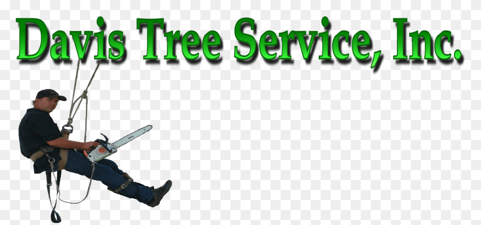 Logo Davis Tree Service, Adult, Person, Man, Male Free Png