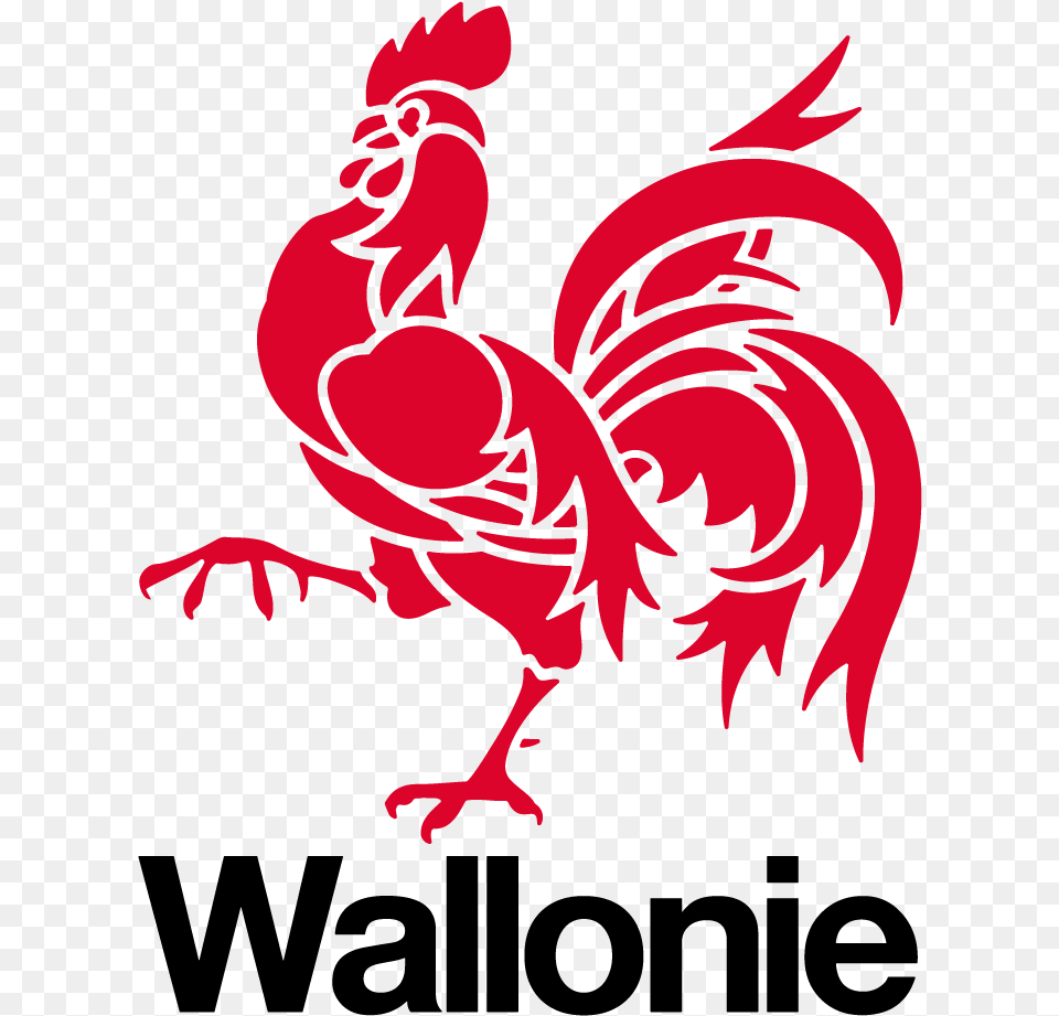 Logo De La Wallonie Wallonie, Animal, Bird, Chicken, Fowl Png