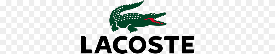 Logo De Lacoste, Animal, Crocodile, Reptile Free Png