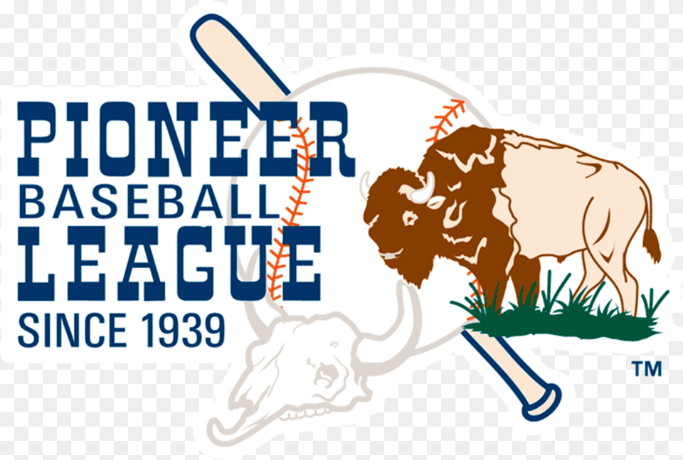 Logo De Pioneer League La Historia Y El Significado Del Pioneer League Baseball, Baby, Person, Animal, Buffalo Png