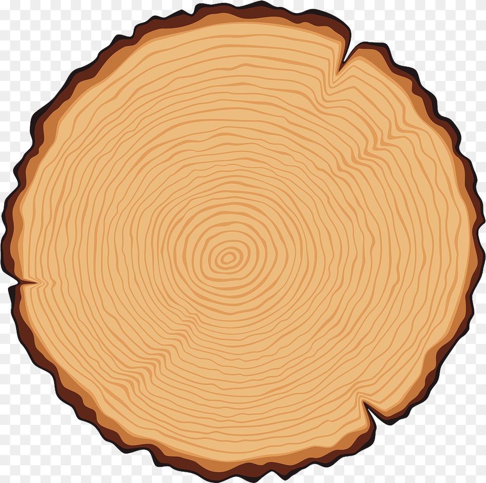 Logo De Tronco Clipart Tree Rings Clipart, Lumber, Plant, Wood, Plate Png