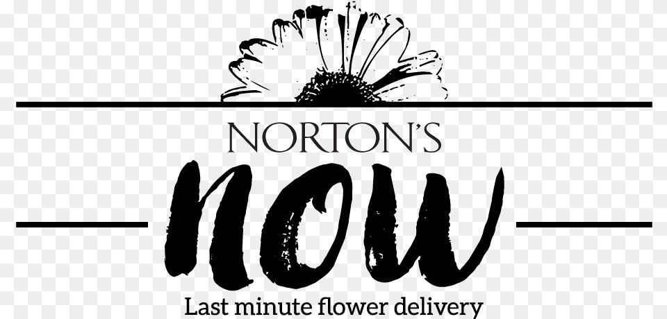Logo Design By Bern Gd For Norton39s Florist W Striped Monogram Round Ornament, Text Free Png Download