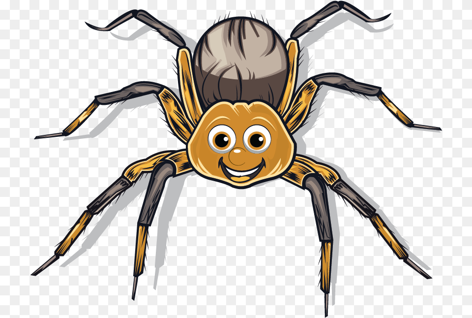 Logo Design By Errar For This Project Araneus, Animal, Invertebrate, Spider, Person Free Png Download