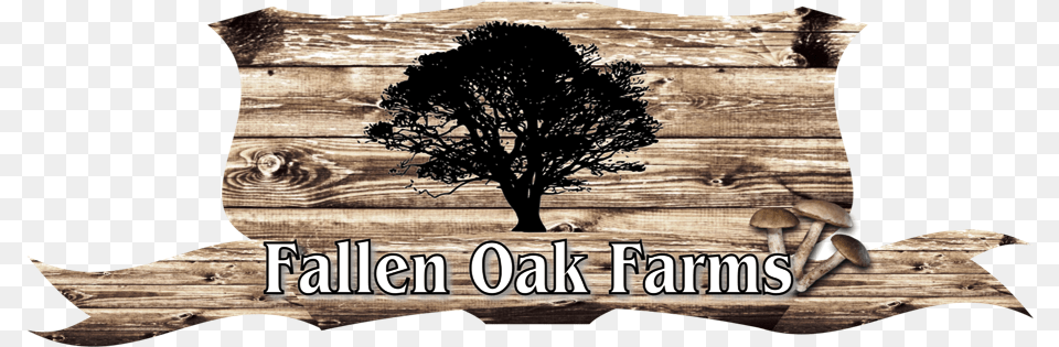 Logo Design By Merchand27 For This Project Oak, Plant, Tree, Wood, Animal Png Image