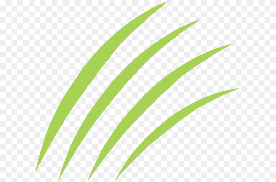 Logo Design By Superspectrum For General Mills Inc, Green, Grass, Leaf, Plant Free Png Download