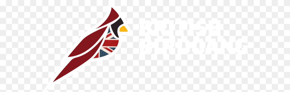 Logo Design For Arizona Cardinals Arizona Cardinals Free Png