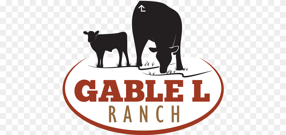 Logo Design Ranch House Designs Cattle Livestock Ranch Logos With Cow, Angus, Animal, Bull, Mammal Free Png