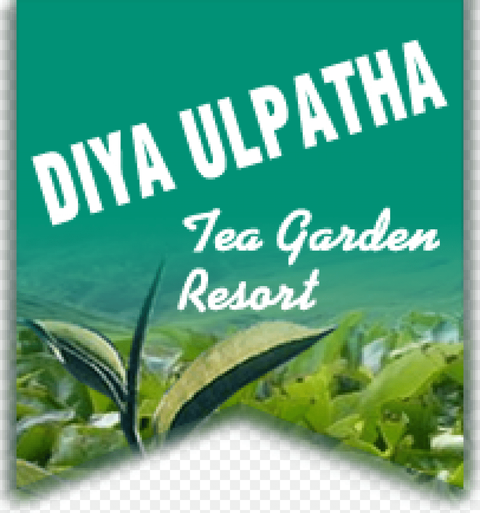 Logo Diya Ulpatha Tea Garden Resort, Plant, Herbal, Herbs, Vegetation Free Png Download
