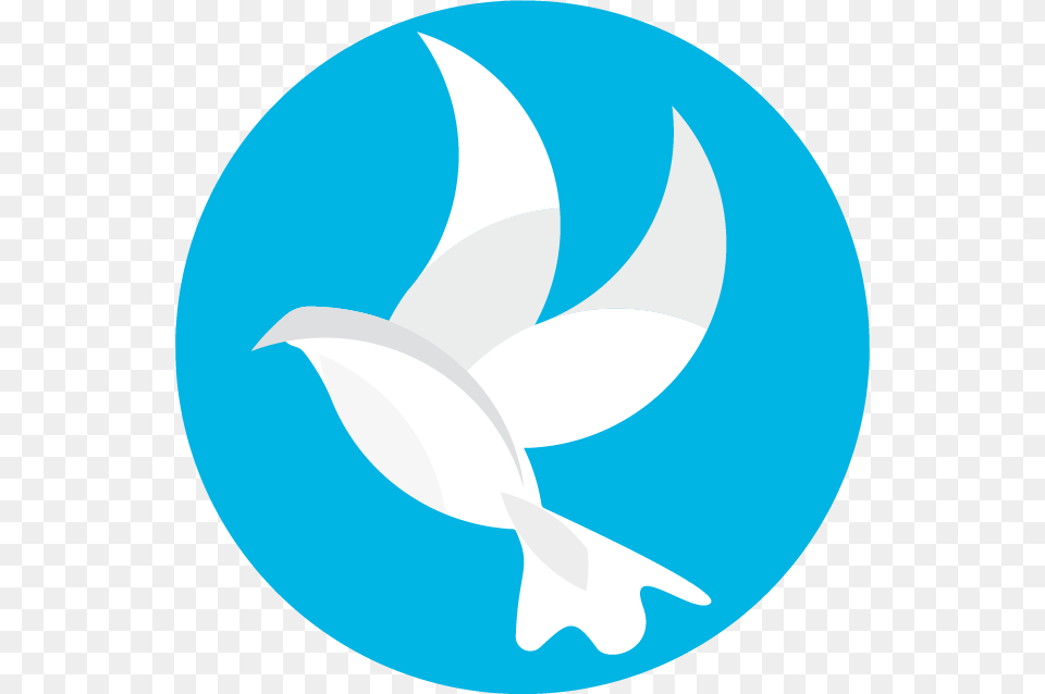 Logo Dove Twitter Circle Icon, Animal, Fish, Sea Life, Shark Free Png