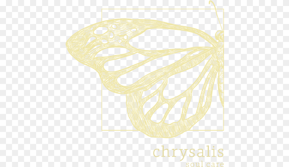 Logo Efecto Mariposa Poster, Person, Flower, Herbal, Herbs Free Transparent Png