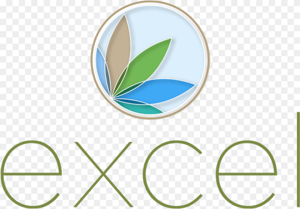 Logo Excel Emblem, Plate, Leaf, Plant Png Image