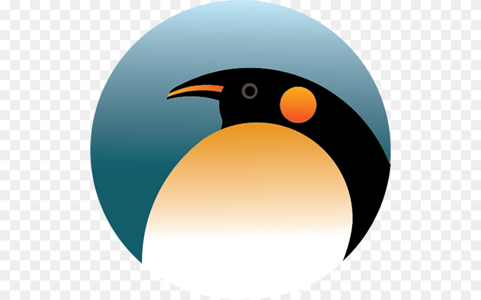 Logo Experimentation Piciformes, Animal, Bird, Penguin Png Image