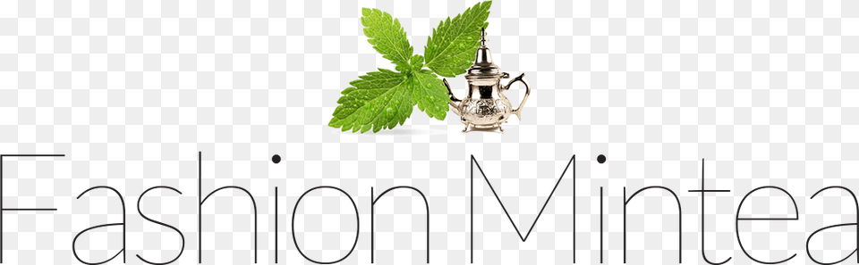 Logo Fashion Mintea Fashion, Green, Herbal, Herbs, Leaf Png