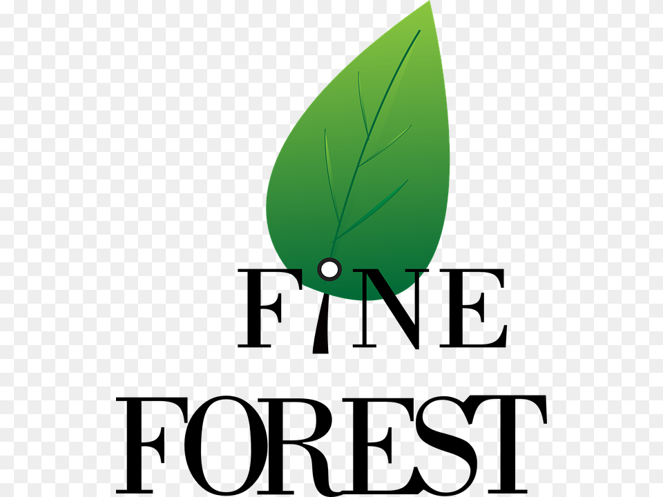 Logo Forest Symbol Design Nature Sign Icon Poster, Leaf, Plant, Green, Droplet Free Png