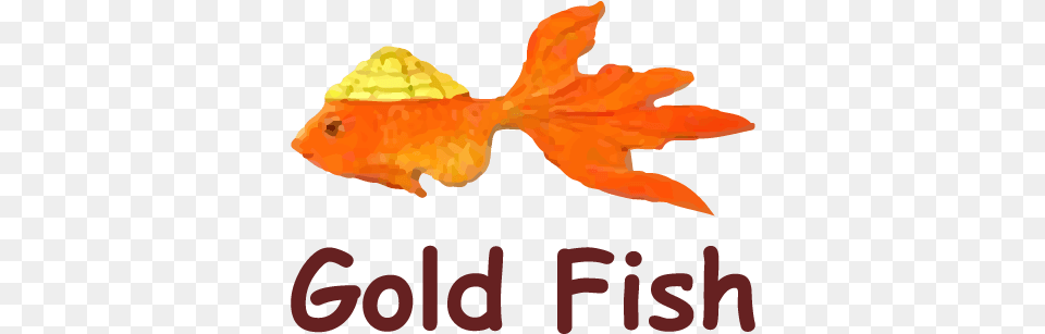Logo Goldfish Go Math 1st Grade Chapter 1 Test, Animal, Sea Life, Fish, Leaf Free Png