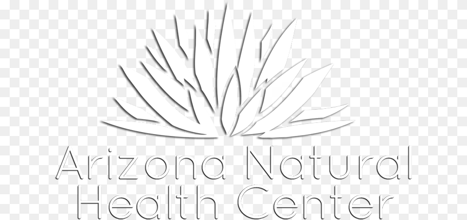 Logo Graphic Design, Leaf, Plant, Herbal, Herbs Png