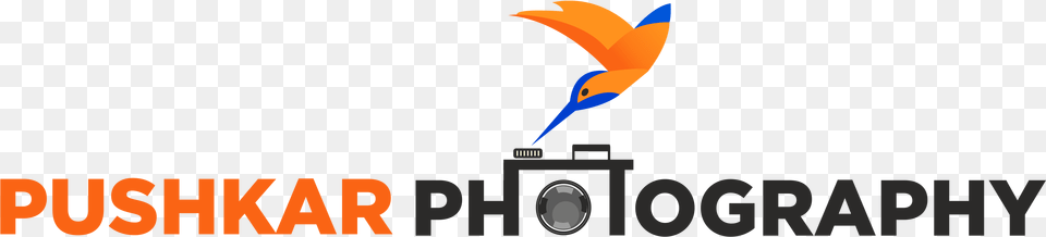 Logo Graphic Design, Light, Animal, Bird, Flying Png