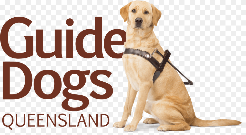 Logo Guidedogs Guide Dog, Animal, Canine, Mammal, Pet Png