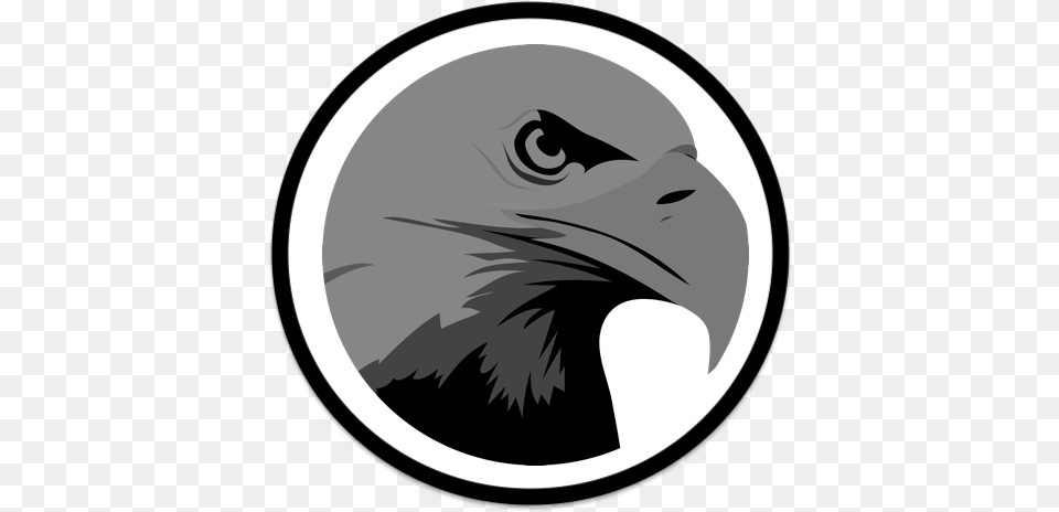 Logo Guila Neoesfera Eagle Head Logo, Animal, Beak, Bird, Astronomy Png