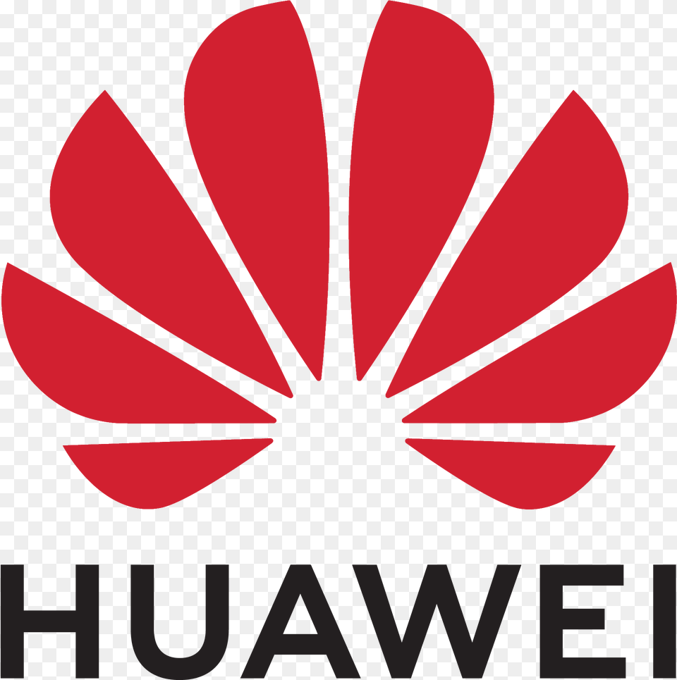 Logo Huawei Logo Vertical, Flower, Petal, Plant, Maroon Free Png