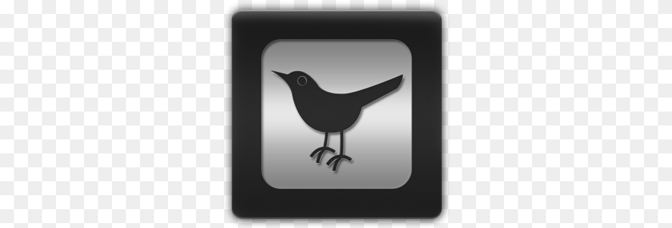 Logo Icon Icon, Animal, Bird, Blackbird Free Png Download