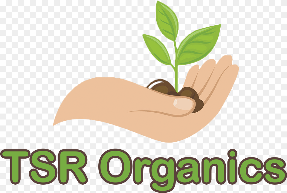 Logo Illustration, Herbal, Herbs, Plant, Leaf Png Image
