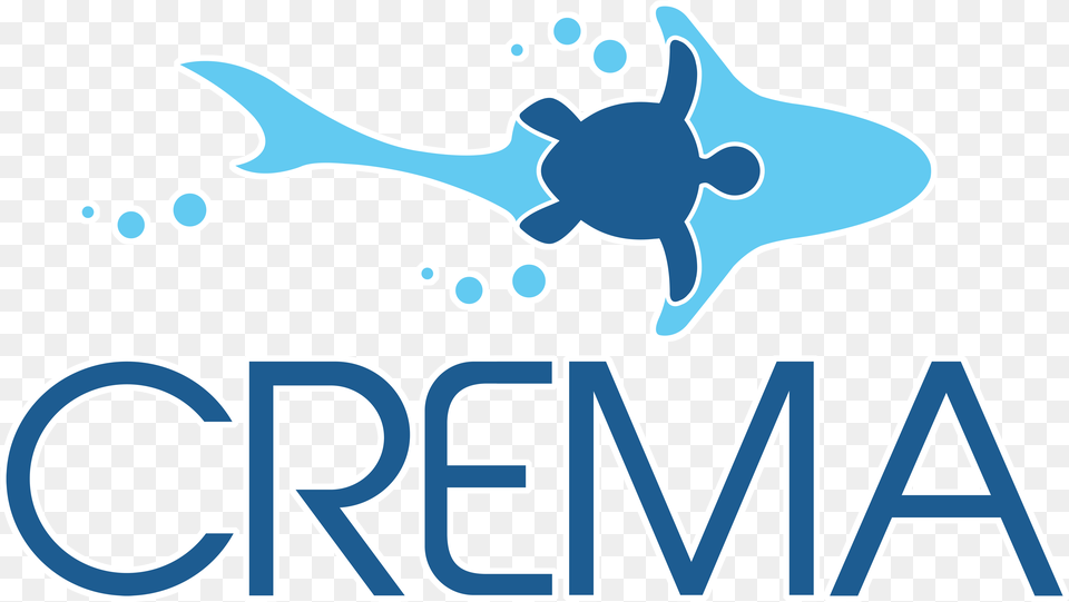 Logo Irena, Water Sports, Water, Swimming, Sport Free Png