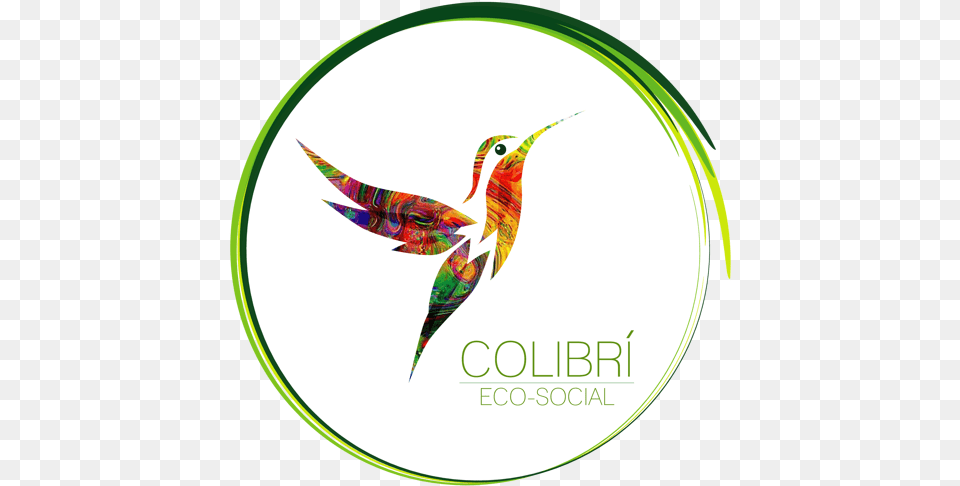Logo Iso Colectivo Eco Social Colibri Eco Social, Animal, Bird, Hummingbird Free Png Download
