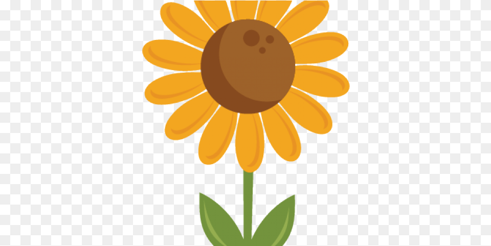 Logo Kac Kenitra, Daisy, Flower, Plant, Petal Free Transparent Png