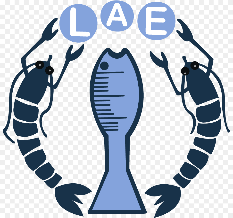 Logo Lae Free Png