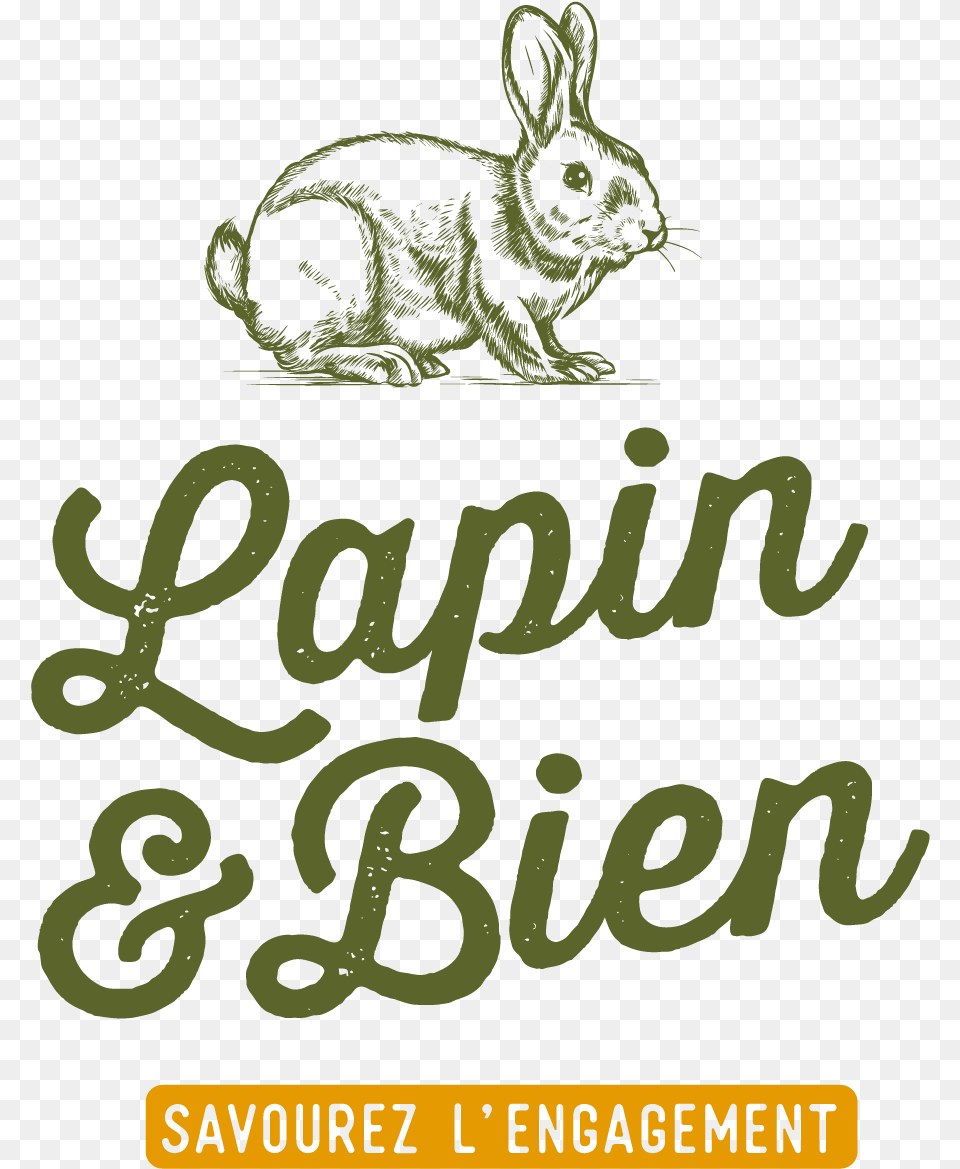 Logo Lapinetbien Def Plan De Travail 1 Domestic Rabbit, Animal, Mammal, Canine, Dog Free Png