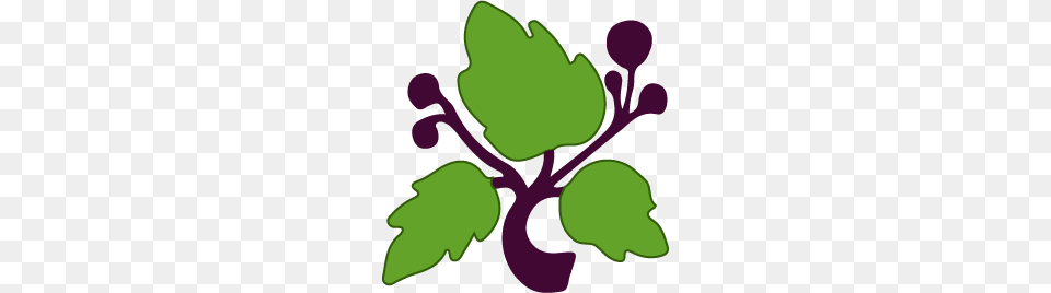 Logo Leaf Vector, Herbs, Plant, Herbal, Smoke Pipe Free Transparent Png