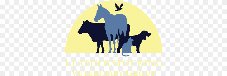 Logo Leatherstocking Vet, Animal, Mammal, Dog, Pet Free Transparent Png