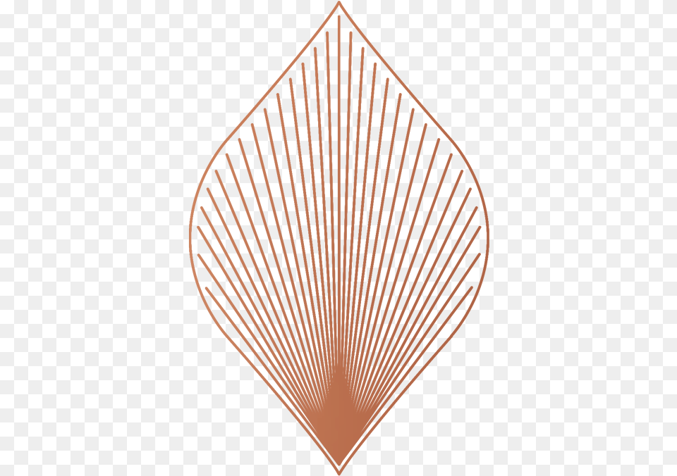 Logo Metallic Flame Emblem, Plant, Animal, Invertebrate, Sea Life Free Transparent Png