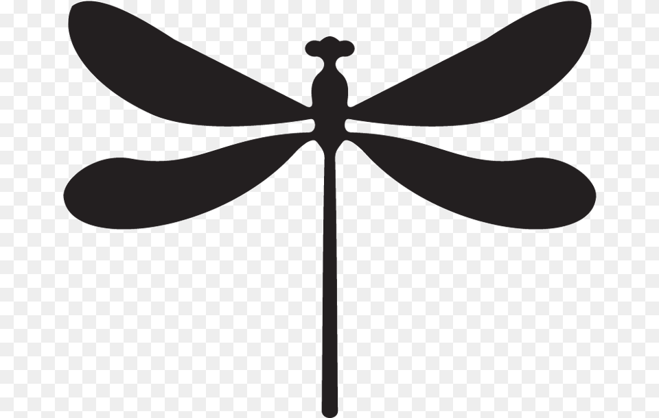 Logo Museum And Institute Of Zoology, Animal, Dragonfly, Insect, Invertebrate Png