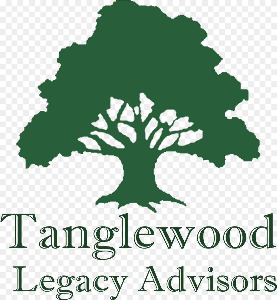 Logo No Background Tanglewood Legacy Advisors Llc, Plant, Tree, Person, Vegetation Png Image