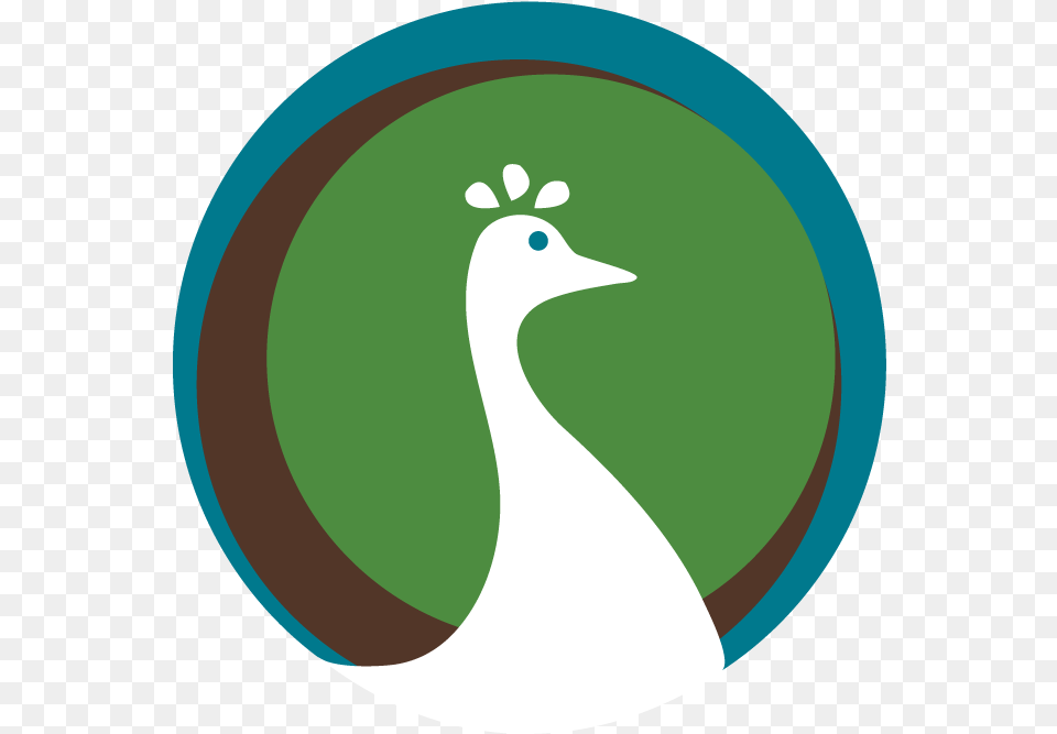 Logo Of Nbc, Animal, Bird, Waterfowl Free Png Download