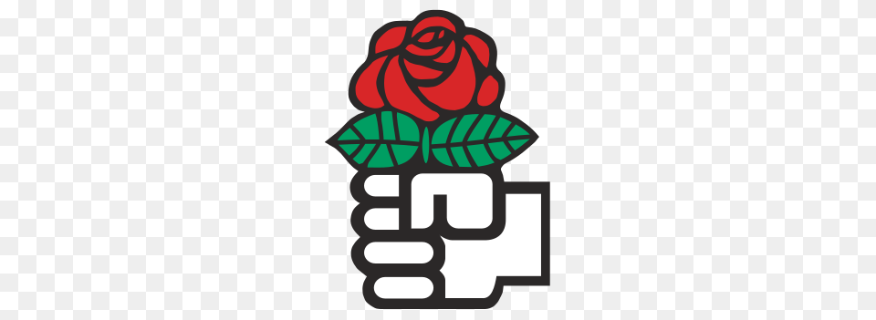 Logo Of The Socialist International, Flower, Plant, Rose, Body Part Png
