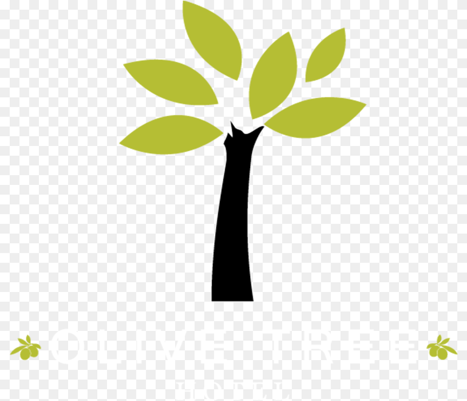 Logo Olive Tree Pattaya Hotel Olive Tree, Green, Leaf, Plant, Herbal Png Image
