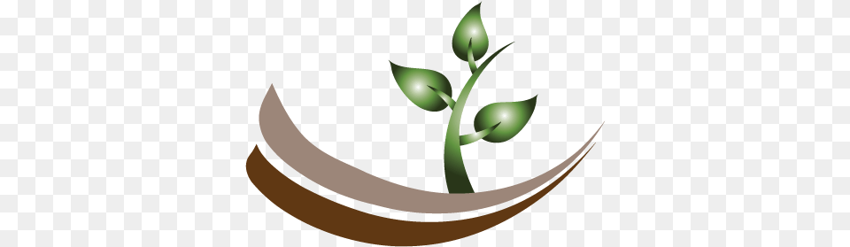 Logo Online Tree Template Company, Plant, Leaf, Herbs, Herbal Free Png