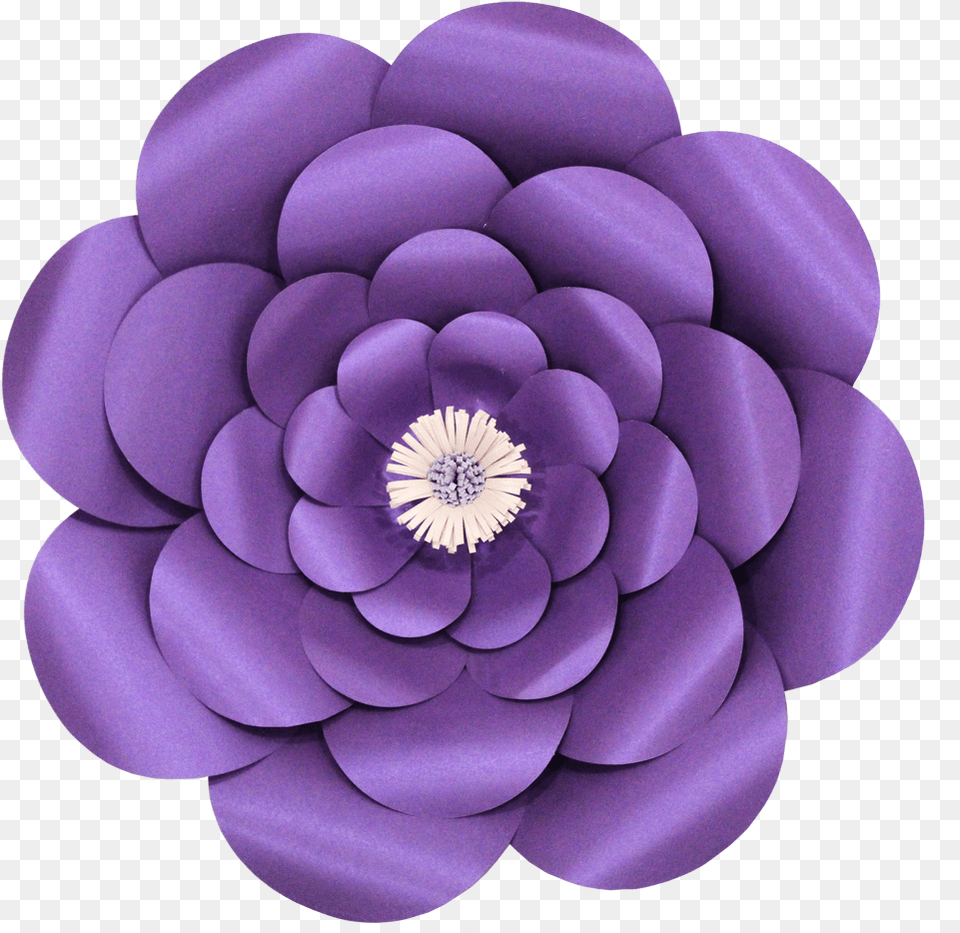 Logo Paper Flowers, Dahlia, Flower, Plant, Purple Png Image