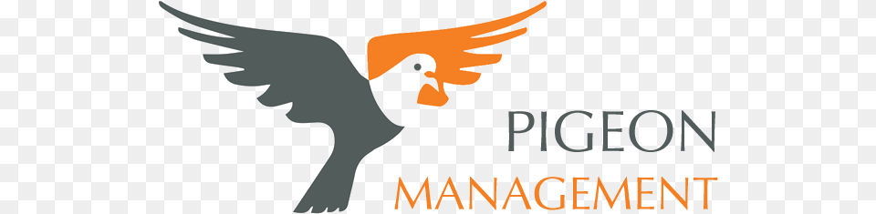 Logo Pigeon Logo, Adult, Female, Person, Woman Png