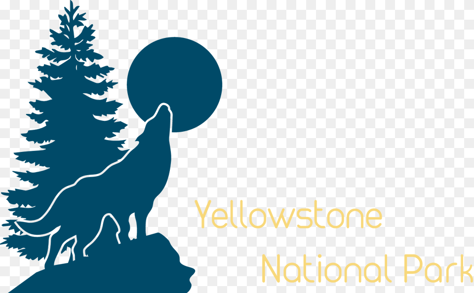 Logo Pine Tree Vector, Plant, Fir, Baby, Person Free Transparent Png