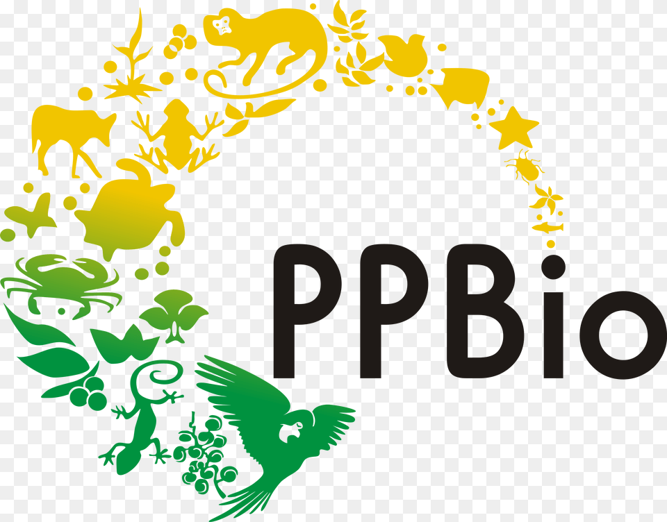 Logo Ppbio Formato Em Fundo Transparente, Art, Pattern, Floral Design, Graphics Free Png Download