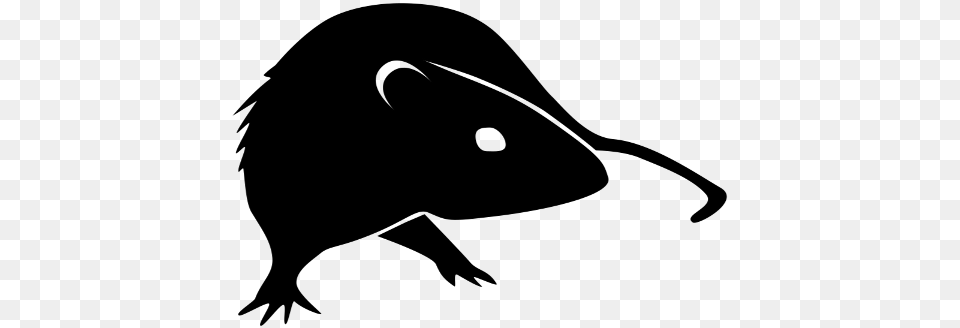 Logo Rat Logo Black, Gray Free Transparent Png