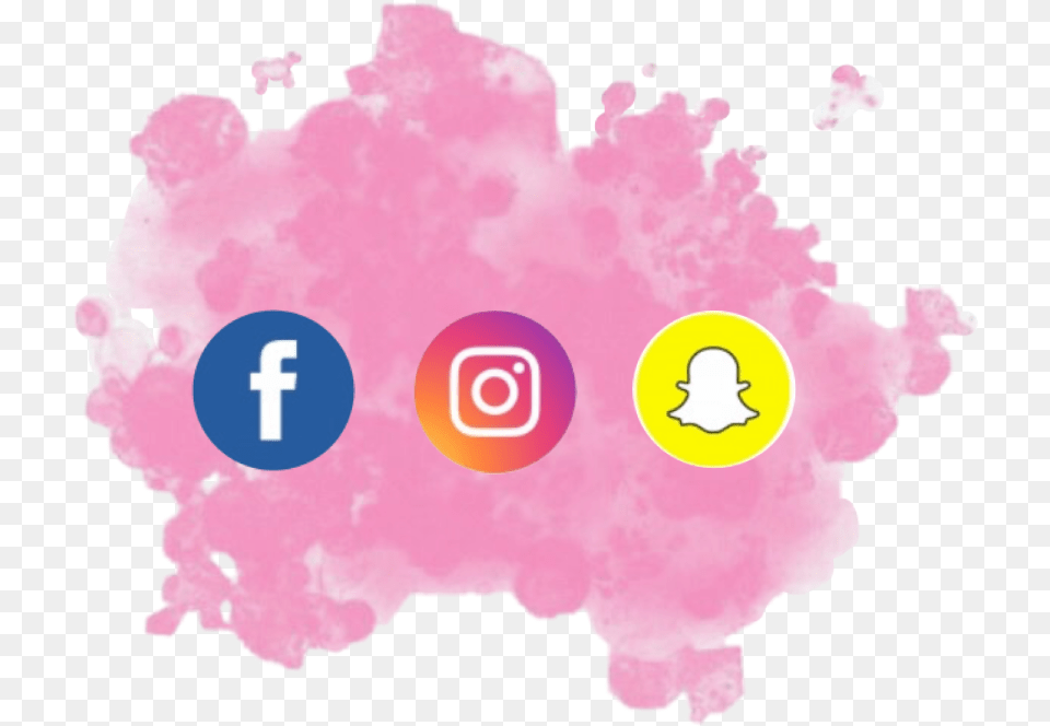 Logo Redessociales Facebook Instagram Snapchat Facebook Instagram Snapchat Logo, Flower, Plant Free Png