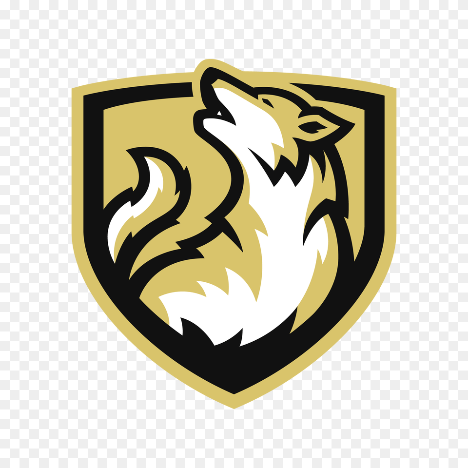 Logo Resources, Armor, Shield Png Image