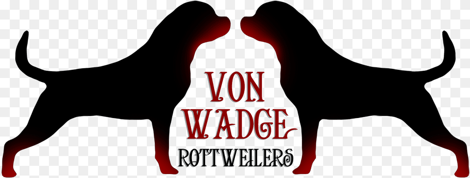 Logo Rottweiler, Silhouette, Animal, Bull, Mammal Free Transparent Png