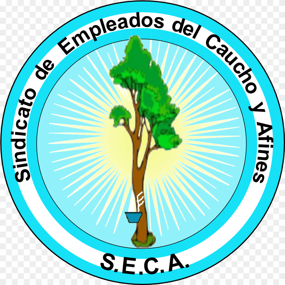 Logo S E C A Circle, Plant, Tree, Vegetation, Person Png